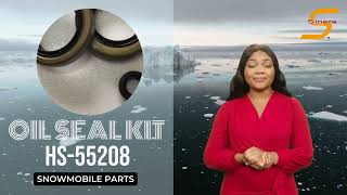 Oil Seal Kit HS55208  Polaris Snowmobile Parts [upl. by Eaver]