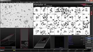 Metafer MSearch  Automated Metaphase Finder [upl. by Cassilda]