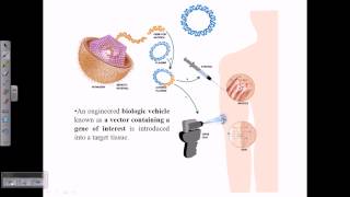 Gene delivery systems [upl. by Massingill]