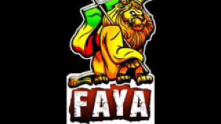 30 Minutes de Mix reggae ragga pour le wwwfayariddimcom by dready selekta [upl. by Flanders]