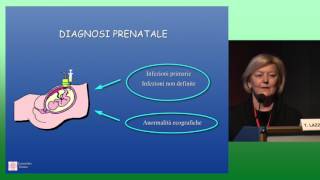 La diagnosi microbiologica prenatale delle infezioni fetali da CMV VZV e toxoplasma  T Lazzarotto [upl. by Avner]