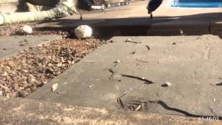 Concrete pool patio repair [upl. by Nagiem]