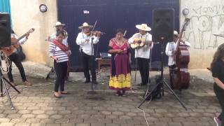 Orquesta Tatá Vasco  Yunuencita [upl. by Petuu]