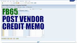 SAP Transaction FB65  Post Vendor Credit Memo [upl. by Moll]