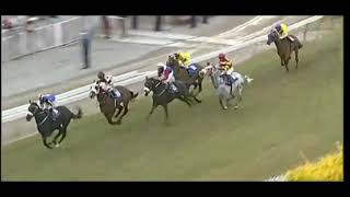 Mauritius Horse Racing 6th Meeting [upl. by Eynttirb]