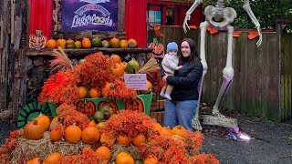 👻 Halloween farm en Dublin 🎃 Luggwoods Saggart irlanda halloween dublin [upl. by Vorster]