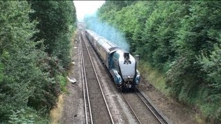 LNER 4464 Bittern  Winnersh Station 13th August 2012 [upl. by Onitselec]