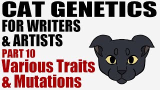 Cat Genetics for Writers amp Artists part 10 Various Traits amp Mutations CC [upl. by Moselle]