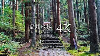 福井県の異世界寺社仏閣巡り  JAPAN in 4K [upl. by Deirdra867]