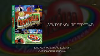 Sempre Vou Te Esperar  DVD Forrozão Tropykália Ao Vivo em São LuísMA 2005 [upl. by Alcine935]