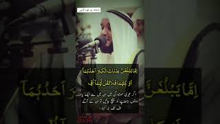 Tilawat Mishary Rashid Alafasy quran tilawat nasheed [upl. by Leighton]