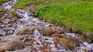 A Clear Mountain Stream Cascading Over Rocks Surrounded by Lush Green Grass and Nature [upl. by Anpas]