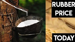 RUBBER PRICE TODAY IN INDIA KERALA COMMODITY TRADING NEWS [upl. by Ardnasal86]