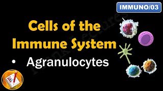 Cells of the Immune System PART II  AGRANULOCYTES FLImmuno03 [upl. by Gilus158]