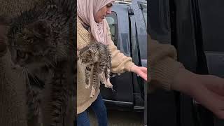 Trying to save a kitten with special needs Rescuedkitten [upl. by Fitzger]