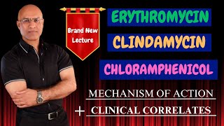 Clindamycin  Erythromycin  Chloramphenicol  MOA amp Clinical Correlations🩺 [upl. by Eleik203]