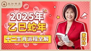 麦玲玲师傅详解2025蛇年运程：十二生肖完整版！事业运、财运、人际关系、爱情、婚姻、健康全解析！ [upl. by Anastasius]