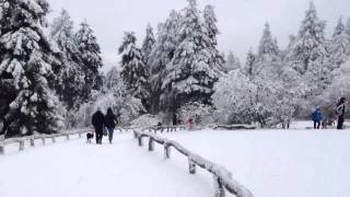 Snow fall in schmitten Germany [upl. by Yelsa]