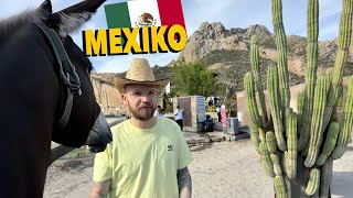 auf der suche nach KAKTUSFEIGEN in MEXIKO VLOG [upl. by Elbag]