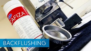 Backflushing The Gaggia Classic Pro with Cafiza  Maintenance for Espresso Machines [upl. by Einamrej]