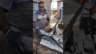 Giant 35KG MAYIL🦚KOLA FISH CUTTING⚡🦈 kasimedu fishcutting fishing fish vadachennaimeenavan [upl. by Helbon24]