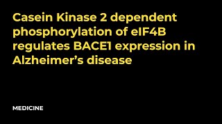 Casein Kinase 2 dependent phosphorylation of eIF4B regulates BACE1 expression in Alzheimer’s disease [upl. by Aneeras]