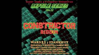 Constrictor Riddim Medley 2013  MIXED BY KACHAFAYAH SOUND  Prod DADDY COBRA [upl. by Tihw530]