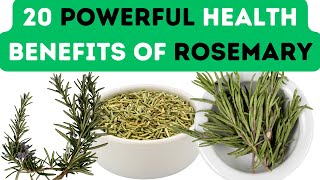 20 POWERFUL HEALTH BENEFITS OF ROSEMARY [upl. by Adelaida910]