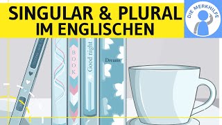 Singular amp Plural im Englischen  Pluralbildung Nomen Pluralregeln Ausnahmen amp Lernwörter [upl. by Nwahsyd539]