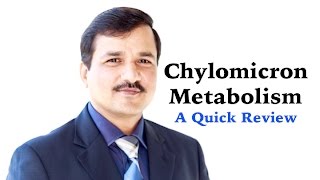 Chylomicron Metabolism  A Quick Review [upl. by Curran321]