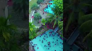 Pascoal Farm l Ponda l Goa l Swimming pool 🤩🤩 shots swimming shortvideoAmeyGaude05 [upl. by Ibor]