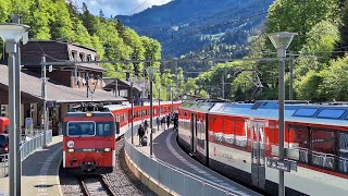 Zentralbahn Luzern Interlaken  Verstärker HGe 44 Pendelzüge auf der Brünig Bahn Linie 2024 [upl. by Renferd888]