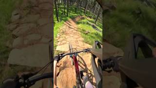 Easy Tiger Nannup mtb downhill shreding [upl. by Kir]