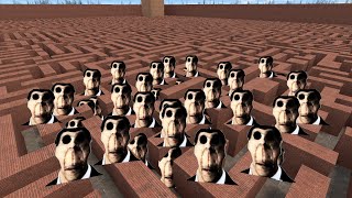 Obunga Family Gmod Nextbots HORDE Chasing Me in The Maze amp Im Trying To Escape or Fight Back [upl. by Leoline]