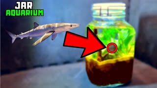 I turned a jar into an aquarium THIS Happened [upl. by Ydasahc]