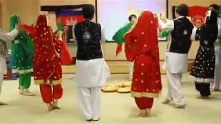 Afghan Uzbeki Hazaragi Qataghani and Attan dance By Hewad Group in Concert رقص هیواد گروپ در کنسرت [upl. by Ahsieym284]