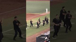 LOS “TORITOS” de los TOROS DE TIJUANA ⚾️🏟️ [upl. by Romaine]