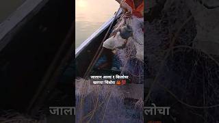 खरपि चीमोब्र्याची मासेमारीshort crabcatchingvideo crabfish chimbori rrmhatre viralvideo [upl. by Romona]