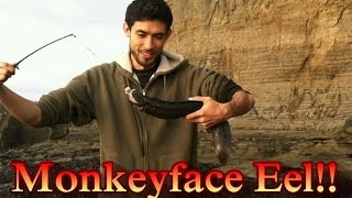 Channel Update Dunking 4 Minute Mile Monkeyface Prickle Back Eel First Person Basketball Games [upl. by Eisdnyl425]