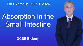 GCSE Biology Revision quotAbsorption in the Small Intestinequot [upl. by Nahgrom407]