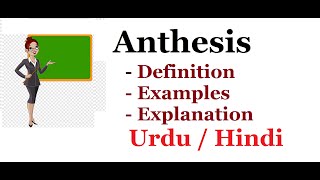 What is Anthesis DefinitionExamples Urdu  Hindi [upl. by Ettelrahc]