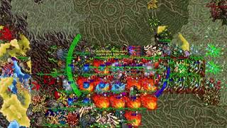 Tibia SLEEPERS PELORIA WAR MATT REAPERS die 1160 MS [upl. by Patterman]