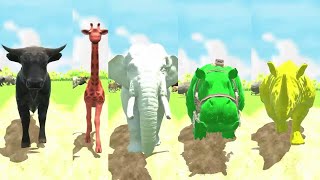 Colored Heaviest Animals Speed Race  Hippo Elephant Rhino Giraffe Bull [upl. by Hiltner]