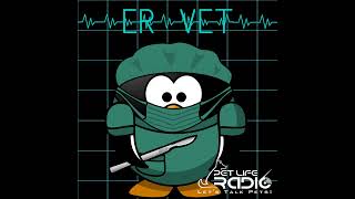 ER Vet  Episode 81 Anesthesia and sedation in the ER with Dr Jane Quandt [upl. by Eimia]