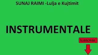 EELA  SUNAJ RAIMI Lulja e Kujtimit INSTRUMENTALE COVER live [upl. by Gearhart62]