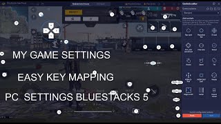 FREE FIRE SETTING 2024🔥🔥Bluestacks 5 NEW best headshot free fire settings 🎯 Keymapping  Custom HUD [upl. by Palila82]