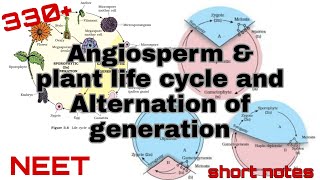 Plant kingdom chap1 class 11th NCERT  Angiosperm amp plant life cycle and Alternation of generation [upl. by Lauren]