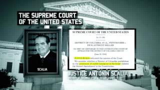 SCOTUS  NRA TV Ad [upl. by Lerak]