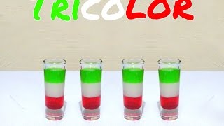 TricolorTricolour  Tragos y CóctelesCocktails amp Shots [upl. by Elynad]