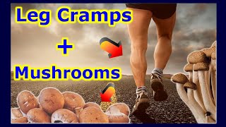 EXTREME Leg Cramps or Night Charley Horse Muscle Cramp Spasms  Mushroom [upl. by Aihsercal406]